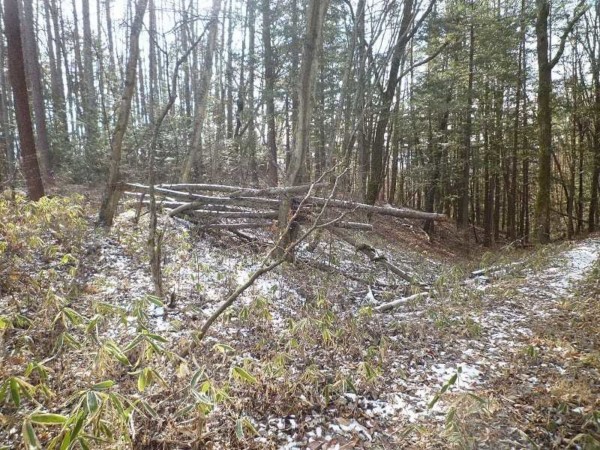 茅野市北山、土地の画像です