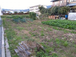 諏訪郡下諏訪町社東町、土地の画像です