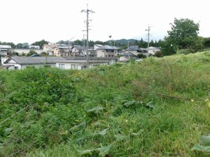 茅野市宮川、土地の画像です