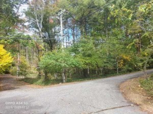 諏訪郡富士見町立沢、土地の画像です