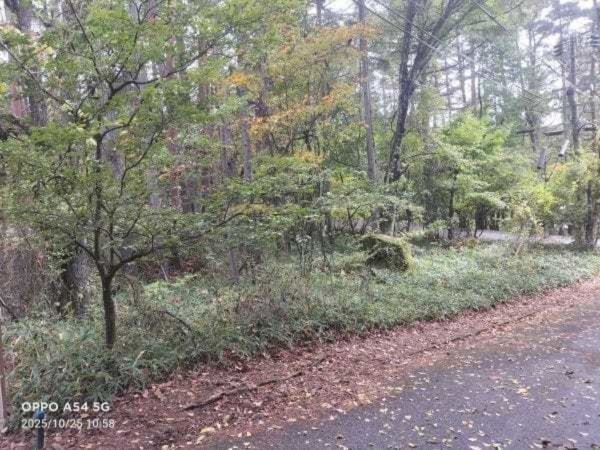 諏訪郡富士見町立沢、土地の画像です