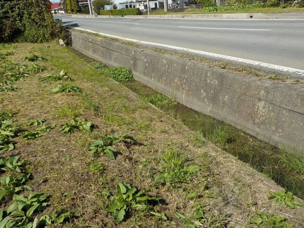 茅野市宮川、土地の画像です