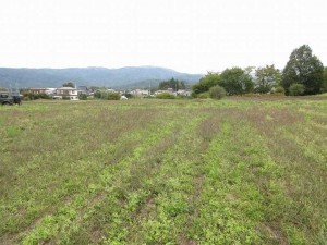 茅野市豊平、土地の画像です