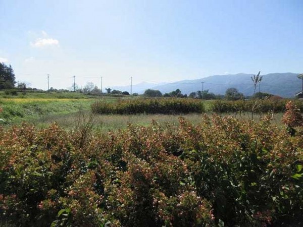 茅野市玉川、土地の画像です