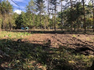 諏訪郡原村中新田、土地の画像です