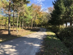 諏訪郡原村中新田、土地の画像です