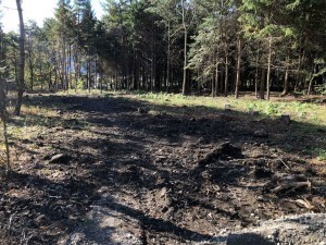 諏訪郡原村中新田、土地の画像です