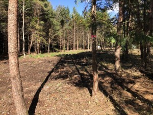 諏訪郡原村中新田、土地の画像です