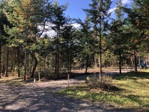 諏訪郡原村中新田、土地の画像です