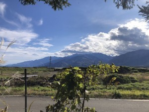 諏訪郡原村中新田、土地の画像です