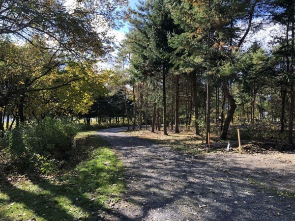 諏訪郡原村中新田、土地の画像です