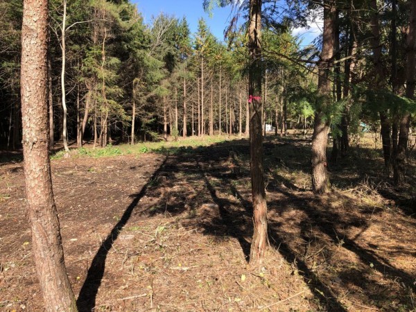 諏訪郡原村中新田、土地の画像です