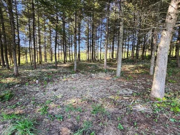 諏訪郡富士見町富士見、土地の画像です