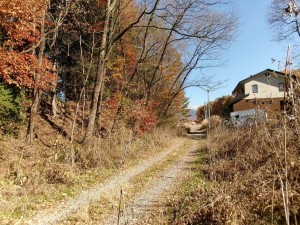 茅野市豊平、土地の画像です