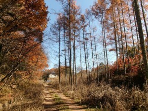 茅野市豊平、土地の画像です