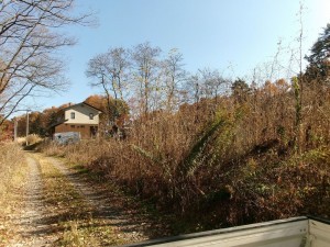 茅野市豊平、土地の画像です