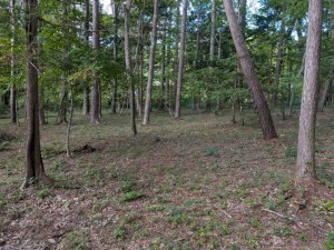 諏訪郡原村上里、土地の画像です