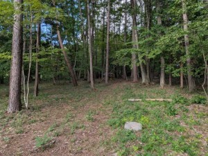 諏訪郡原村上里、土地の画像です