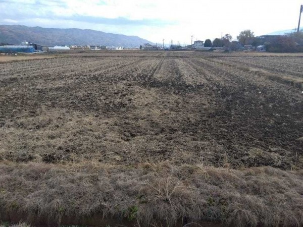 諏訪市、土地の画像です