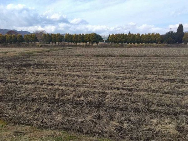 諏訪市、土地の画像です