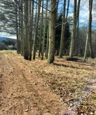 諏訪郡原村上里、土地の画像です