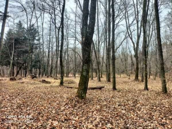 諏訪郡原村上里、土地の画像です