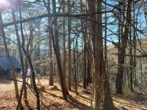 諏訪郡富士見町落合、土地の画像です