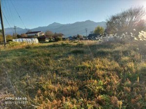 諏訪郡富士見町落合、土地の画像です