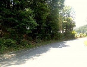 諏訪郡富士見町落合、土地の画像です