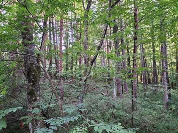 諏訪郡富士見町落合、土地の画像です