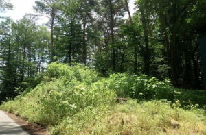 諏訪郡富士見町富士見、土地の画像です