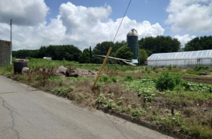 諏訪郡富士見町富士見、土地の画像です