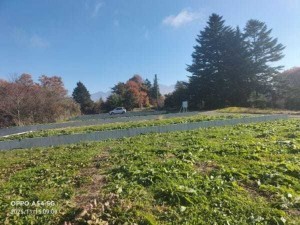 諏訪郡富士見町富士見、土地の画像です