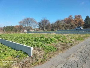 諏訪郡富士見町富士見、土地の画像です