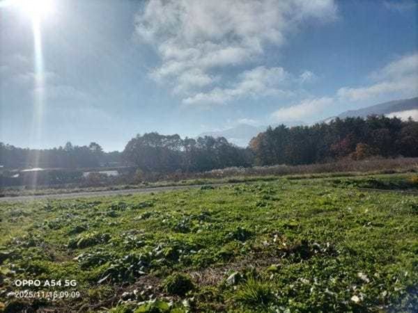 諏訪郡富士見町富士見、土地の画像です