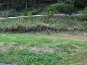 諏訪郡下諏訪町萩倉、土地の画像です