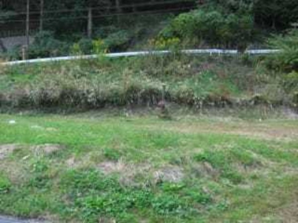 諏訪郡下諏訪町萩倉、土地の画像です