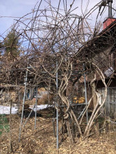 諏訪郡原村ペンション、中古一戸建ての画像です