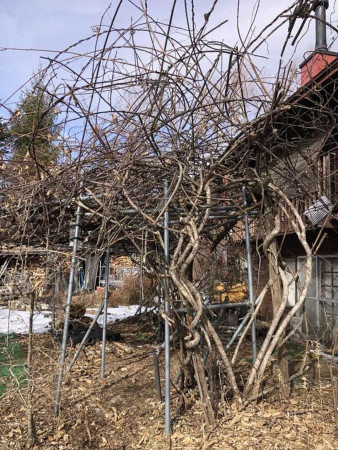 諏訪郡原村ペンション、中古一戸建ての画像です