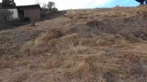 茅野市金沢、土地の画像です