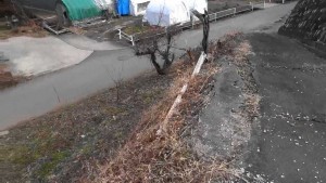 茅野市金沢、土地の画像です