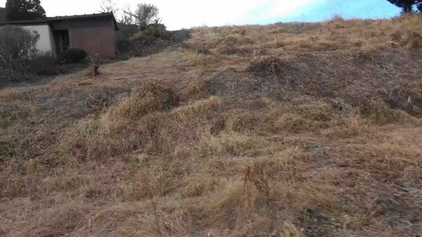 茅野市金沢、土地の画像です