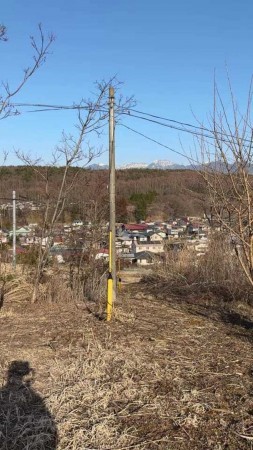 茅野市金沢、土地の画像です