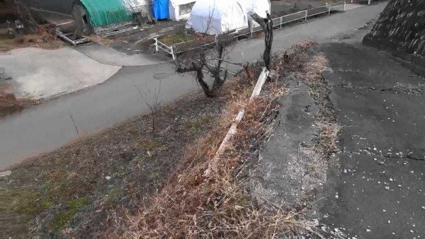 茅野市金沢、土地の画像です