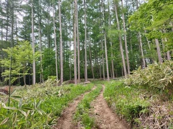 諏訪郡富士見町落合、土地の画像です