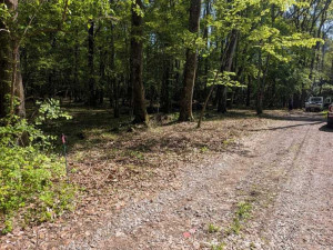 諏訪郡原村中新田、土地の画像です