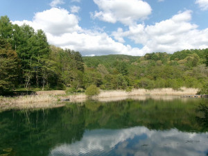 茅野市北山、土地の画像です