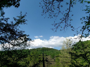 茅野市北山、土地の画像です