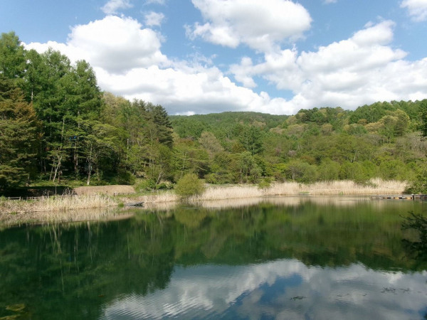 茅野市北山、土地の画像です
