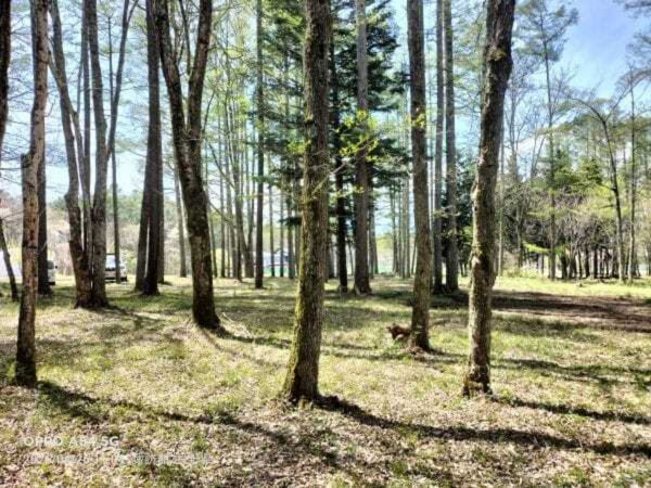 諏訪郡原村上里、土地の画像です